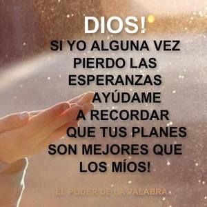 Meet your Posher, Lisbet